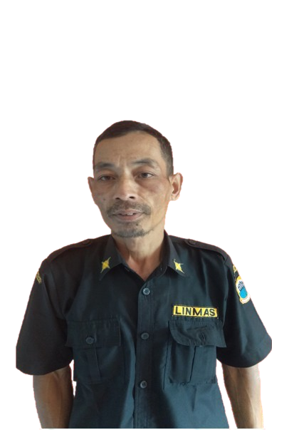 AIP